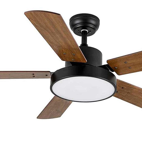 Breakwater Bay Gladbrook 44 Ceiling Fan with LED Lights Wayfair